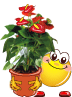:geburtstag7: